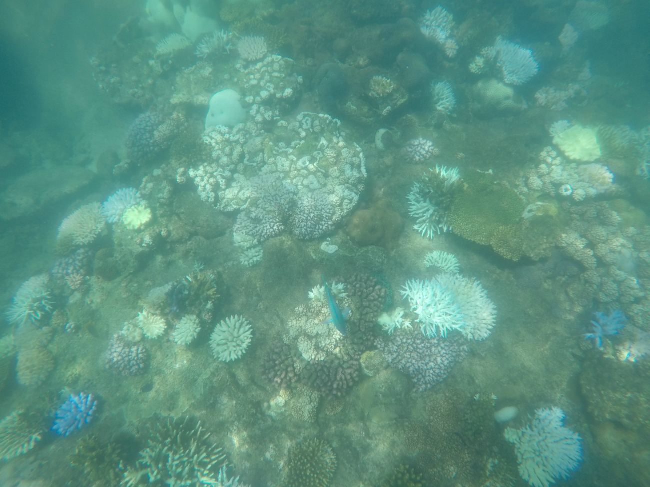 DCIM100GOPROGOPR0777.JPG
